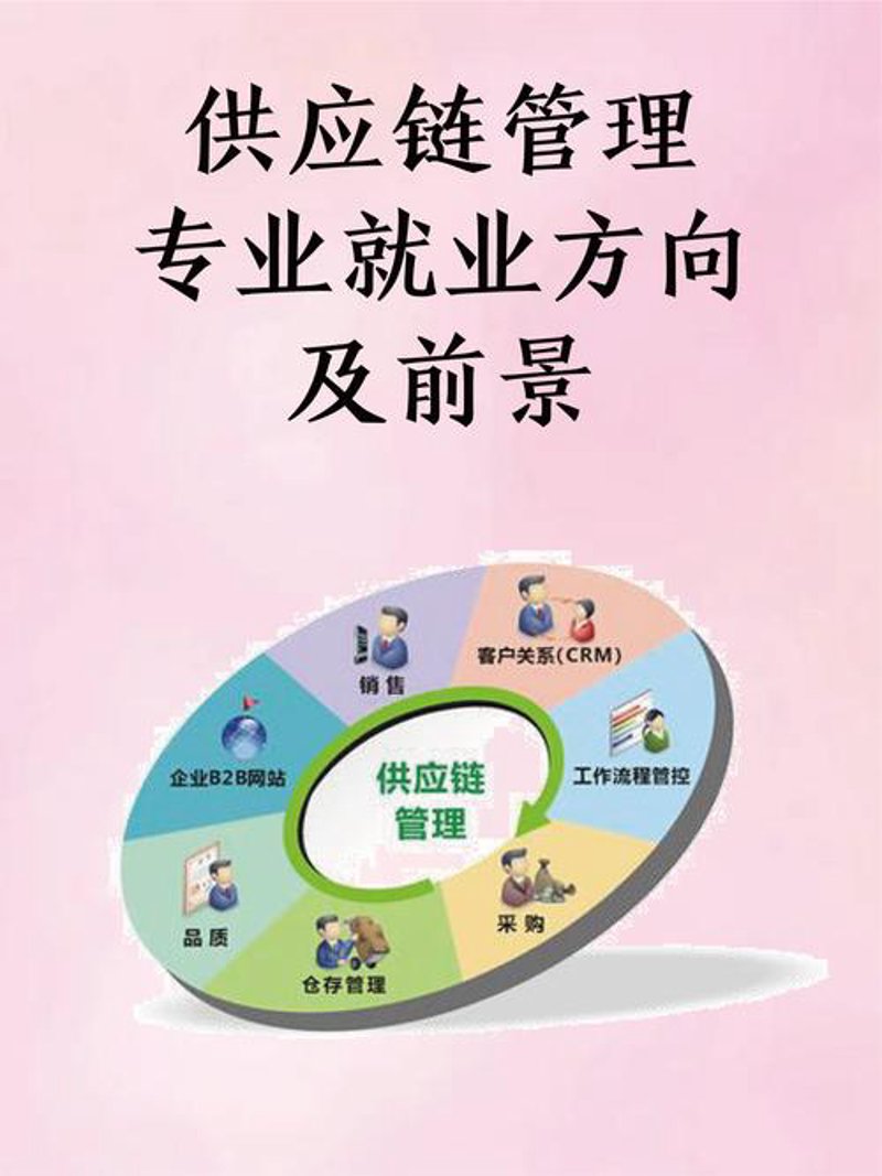 供应链管理公司的新角色：高效物流的舵手